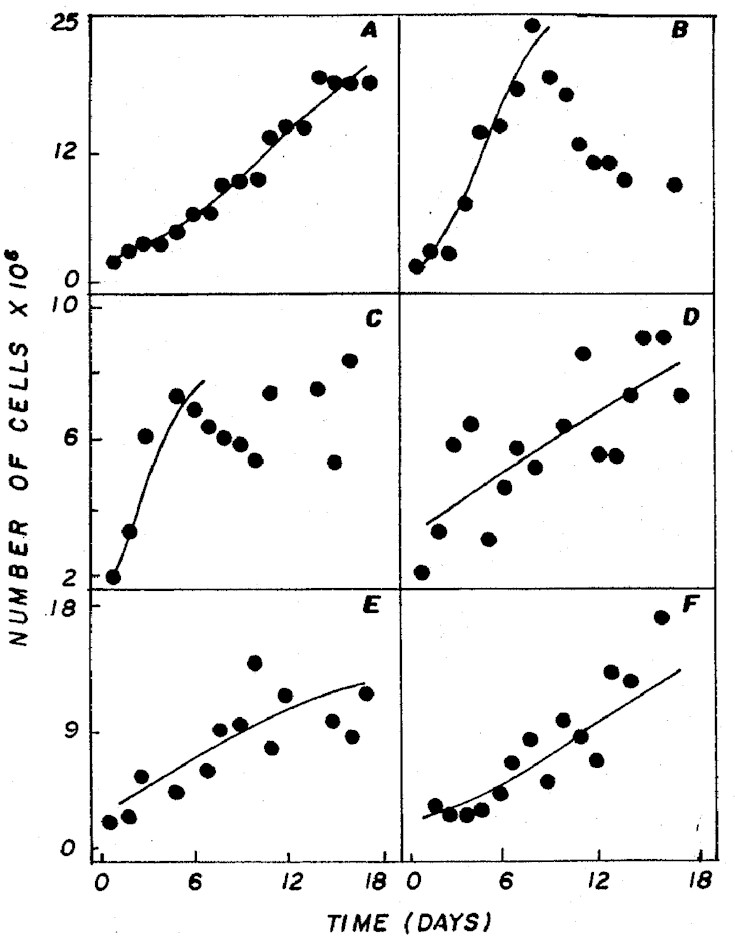 IMAGE4.JPG (91303 bytes)