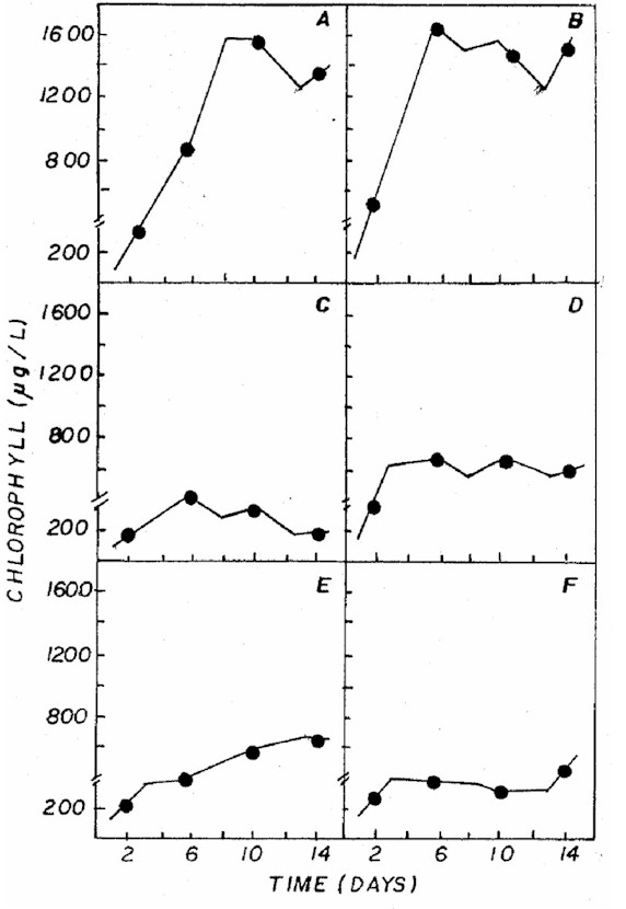 IMAGE5.JPG (101983 bytes)