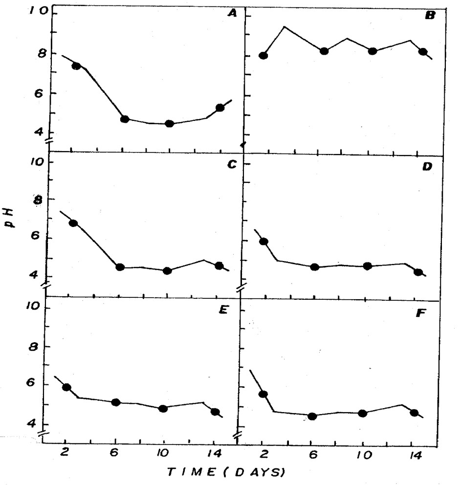 IMAGE6.JPG (93964 bytes)