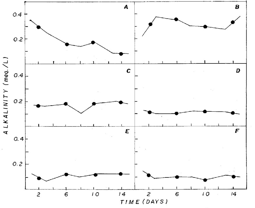 IMAGE7.JPG (64181 bytes)