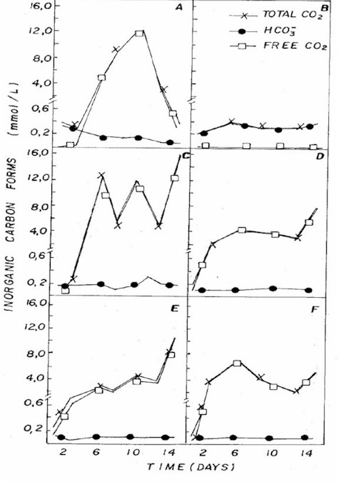 IMAGE8.JPG (102854 bytes)