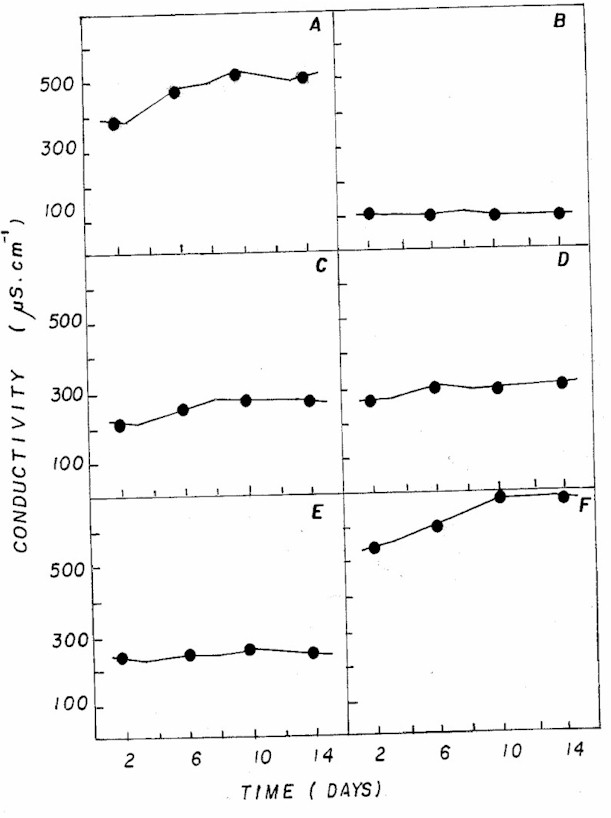 IMAGE9.JPG (81591 bytes)